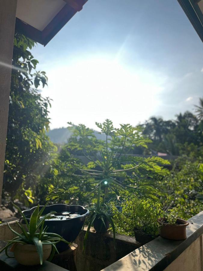 Rustic Mahaweli Appartement Kandy Buitenkant foto